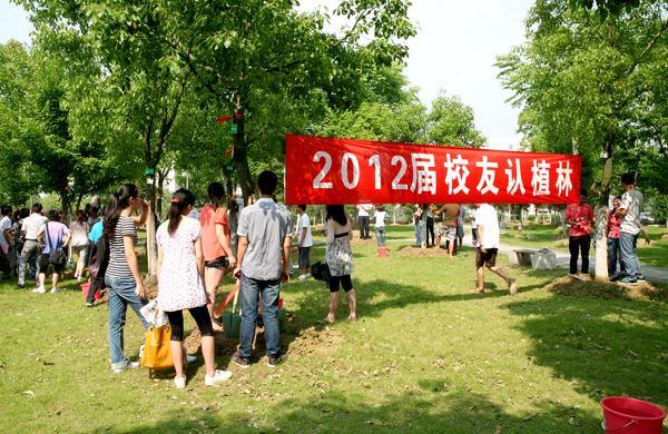 植树现场