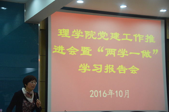 张菁燕书记总结讲话