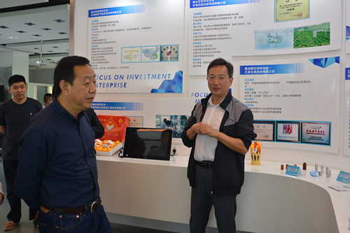 参观园区企业展示厅