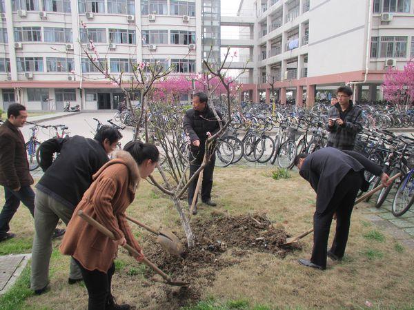 植树活动