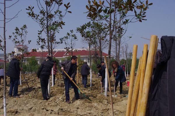 为校园增添一抹新绿——后勤保障系统组织植树活动