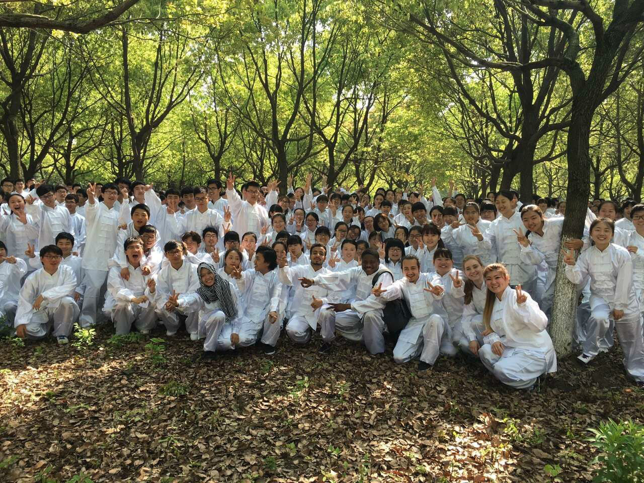 合照