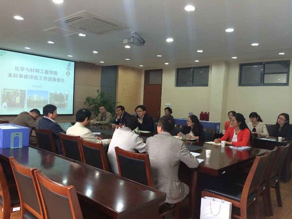 学院本科教学审核评估工作进展汇报