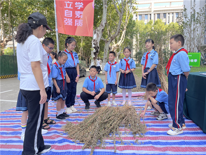 志愿者向小学生讲解油料作物的特点。武轻轩摄