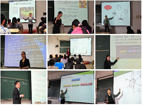 青年教师教学会讲中