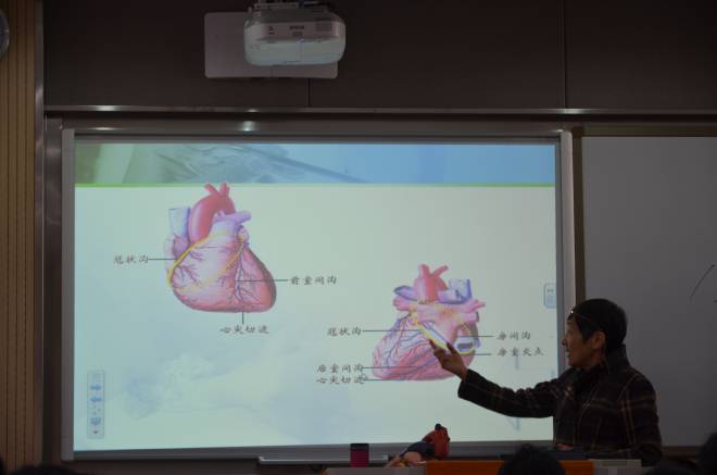 教学观摩