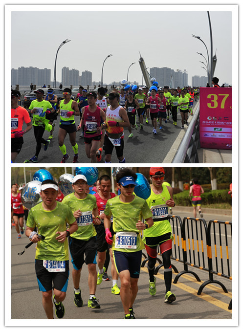王跃科老师担任330兔子领跑