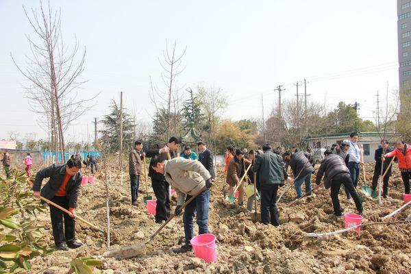 为校园增添一抹新绿——后勤保障系统组织植树活动