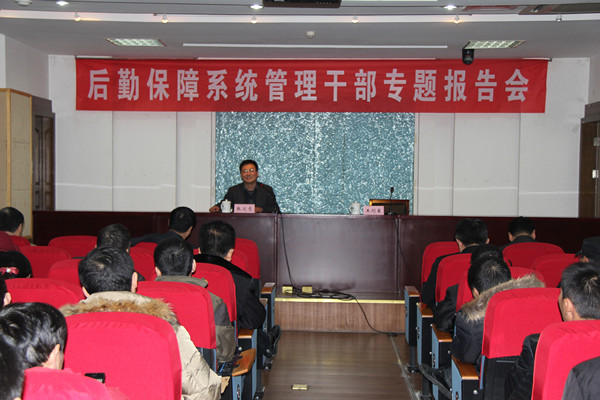 张达志镇长作报告