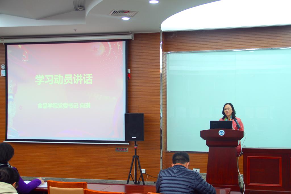 向书记动员讲话