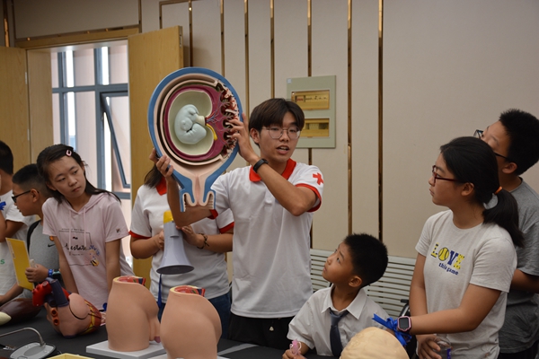 图为江南大学无锡医学院学生志愿者讲授人体器官知识