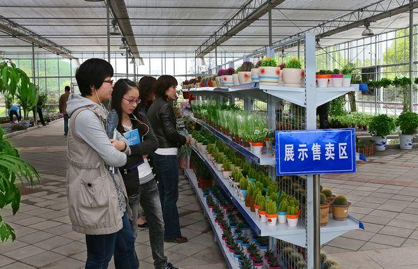 江南大学第三届校园花卉展开幕