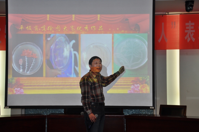 段作营老师对“平板菌落大赛”获奖作品进行点评