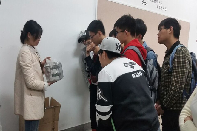 观看实验设备