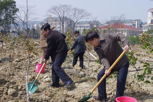 为校园增添一抹新绿——后勤保障系统组织植树活动