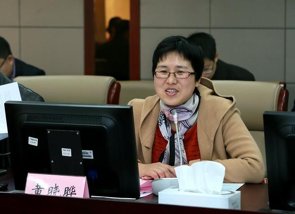 专家组组长黄晓晔主持汇报会