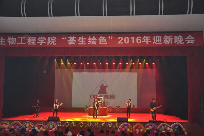 乐队表演